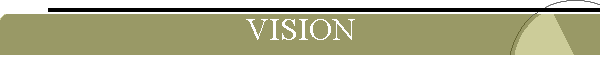 VISION