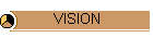 VISION